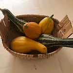 Casa Da Travessa Do Casal 公寓