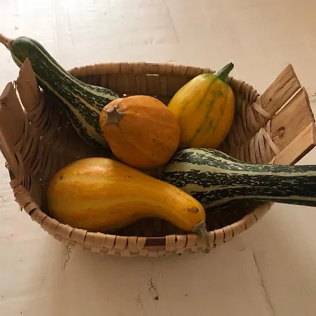 Casa Da Travessa Do Casal Lejlighed