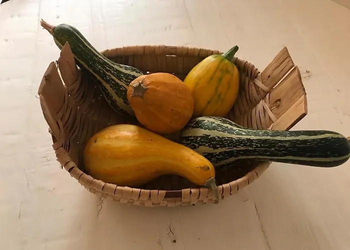 Casa Da Travessa Do Casal Appartamento