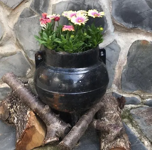 Casa Da Travessa Do Casal Alqueve